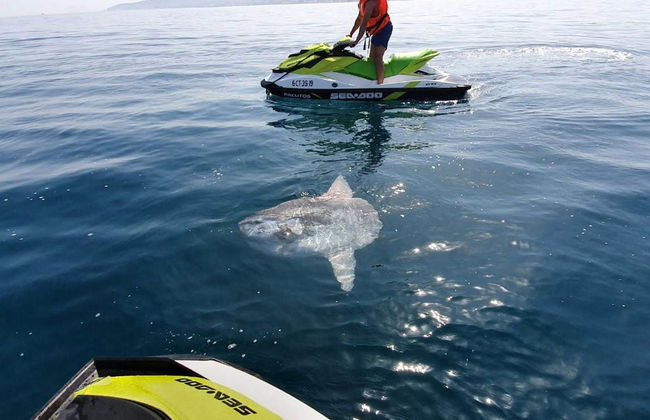 Tour in moto d'acqua sulla costa di Sabinillas - Foto 4