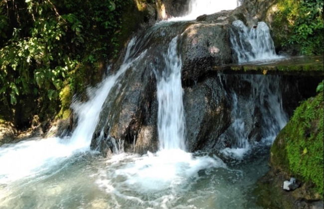 Excursión a la catarata Honolulo - Foto 2