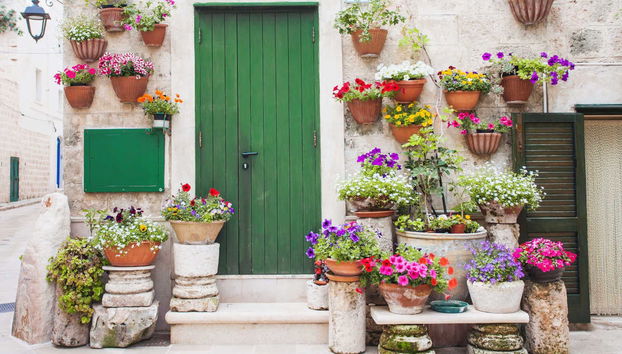 Tour privato di Monopoli - Foto 4