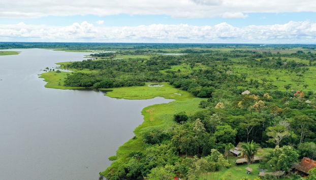 Cashibococha Lagoon Tour - Foto 5