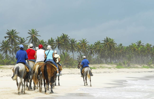 Balade à cheval sur l’île de Tinharé - Photo 1
