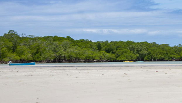 Excursion à la plage Boca da Barra de Boipeba - Photo 5