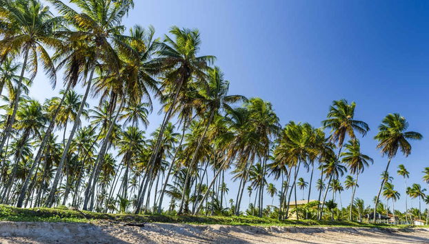 Balade à cheval sur l’île de Tinharé - Photo 2