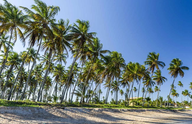 Balade à cheval sur l’île de Tinharé - Photo 2