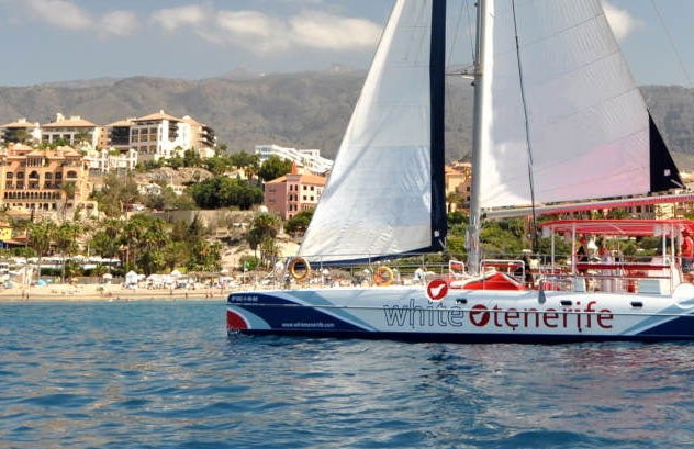 Costa Adeje Whale & Dolphin Watching - Foto 3
