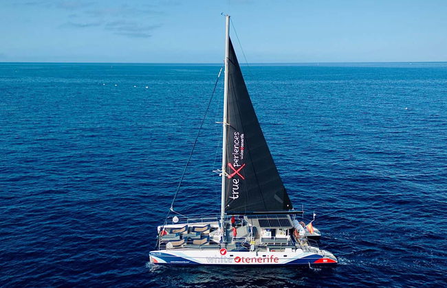 Costa Adeje Whale & Dolphin Watching - Photo 3