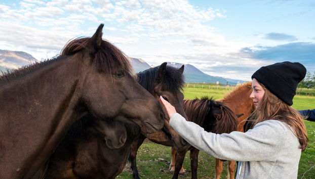 Passeggiata a cavallo a Varmahlíð - Foto 2