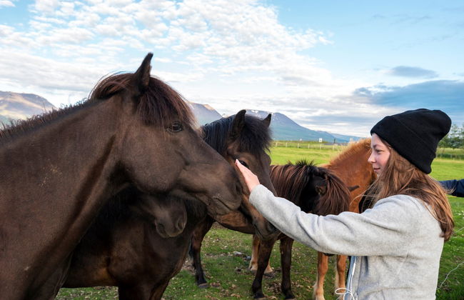 Varmahlíð Horse Riding Activity - Photo 2