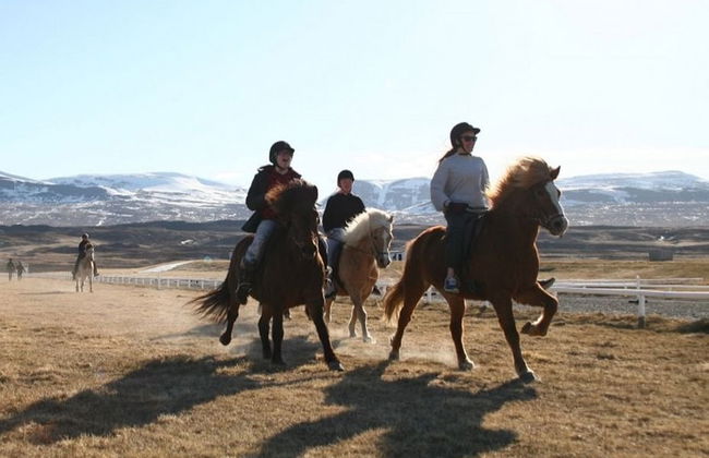 Paseo a caballo por Varmahlíð - Foto 2