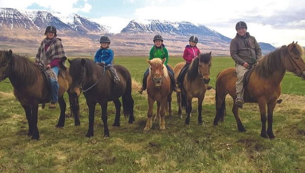 Passeggiata a cavallo a Varmahlíð - Foto 3