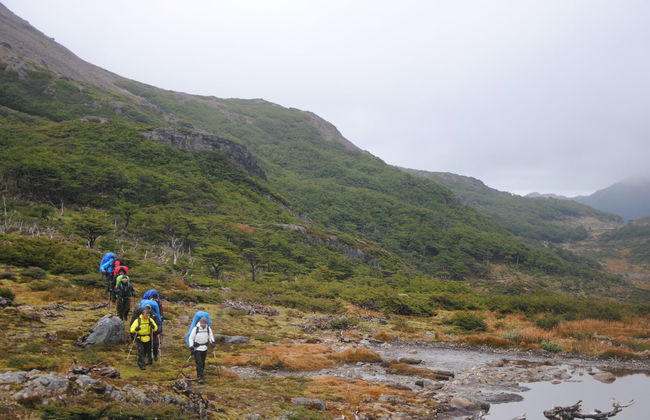 Trekking de 5 días por la isla Navarino - Foto 2