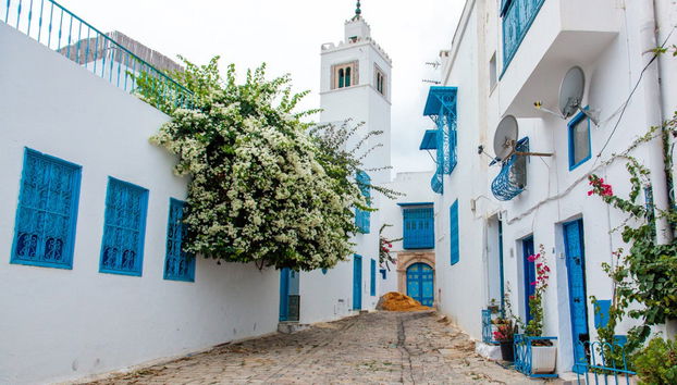 Excursión a Cartago y Sidi Bou Said - Foto 3