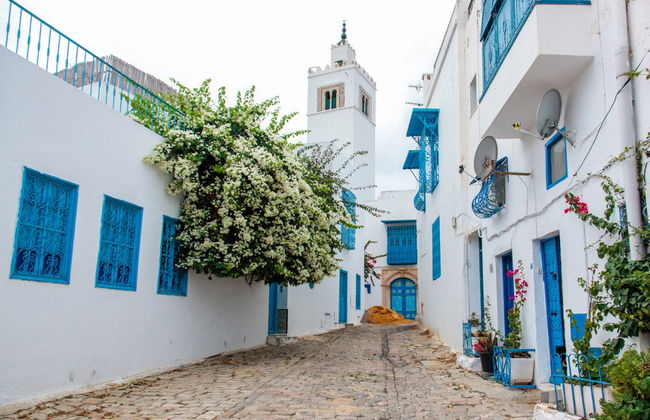 Private Tour from Tunisia - Photo 7