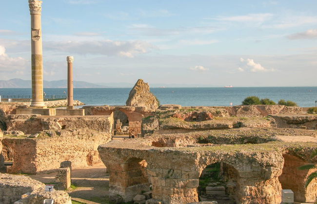 Visite de Tunis, Carthage et Sidi Bou Saïd pour croisiéristes - Photo 1