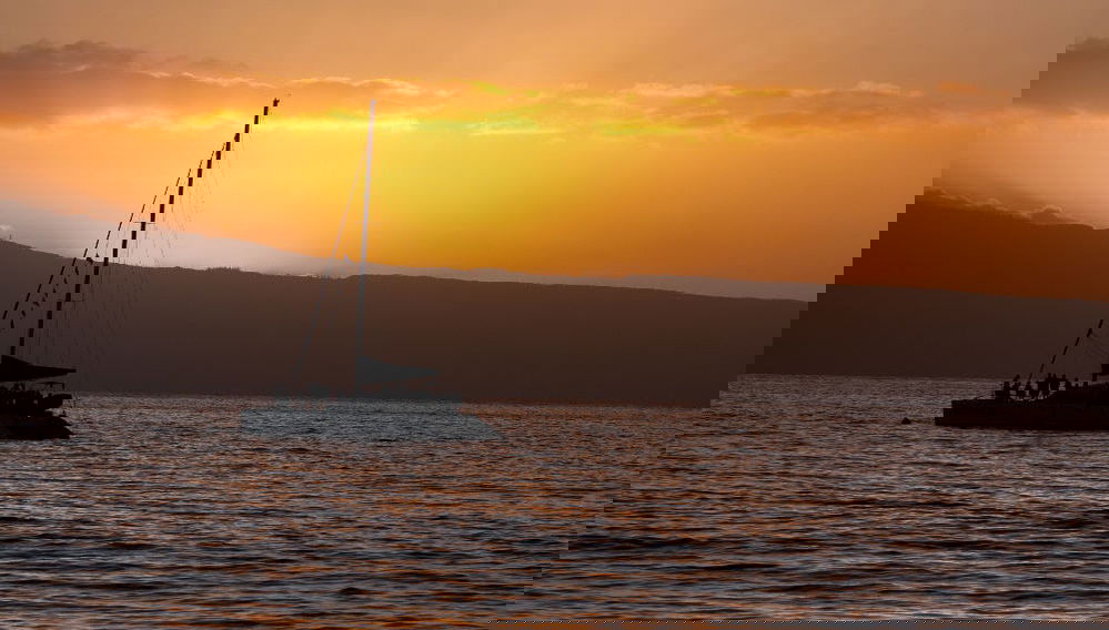 Cruzeiro noturno com jantar e espetáculo - Foto 1