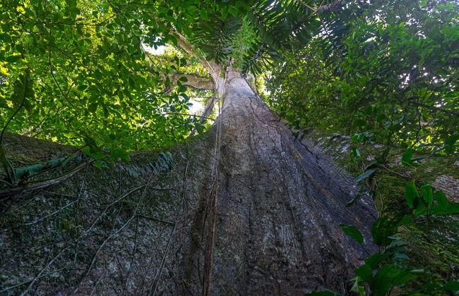Escursione alla Riserva Natura Park - Foto 1