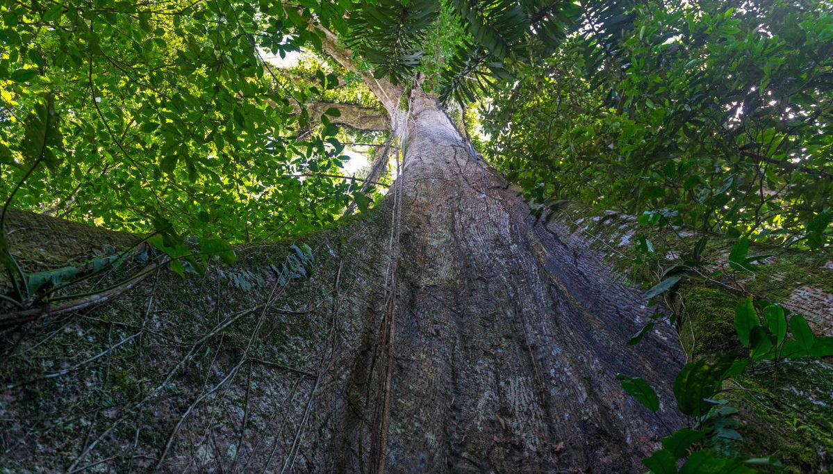 Reserva Natura Park Day Trip - Foto 1