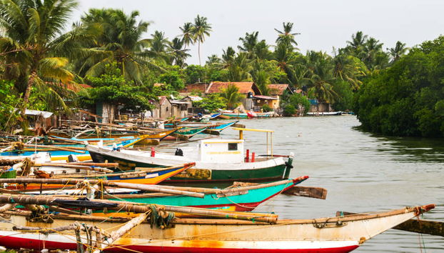 Negombo Private Trip - Photo 5