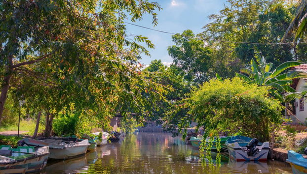 Negombo Private Trip - Photo 3