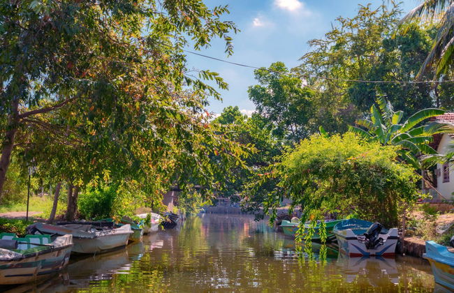 Negombo Private Trip - Foto 3