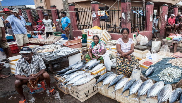 Negombo Private Trip - Photo 4