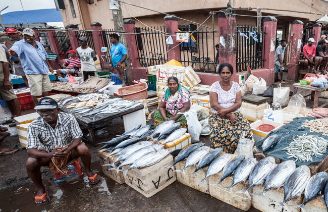 Negombo Private Trip - Foto 4