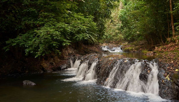 Tour to San Pedrillo - Foto 3