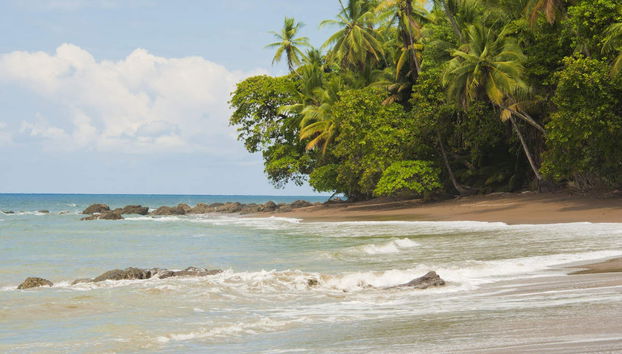 Horse Riding in Drake Bay - Foto 5