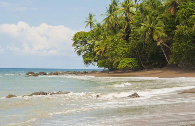 Horse Riding in Drake Bay - Foto 5