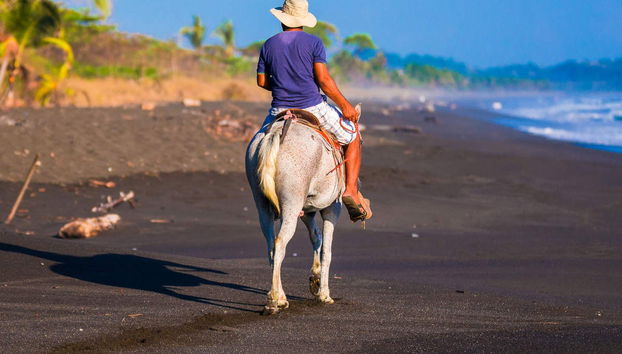 Horse Riding in Drake Bay - Foto 4
