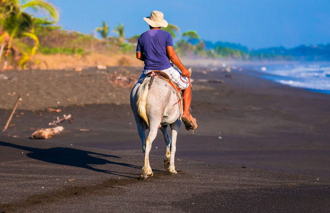 Horse Riding in Drake Bay - Foto 4