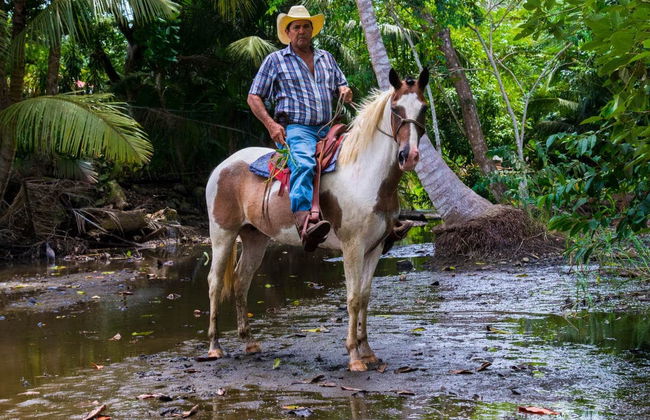 Horse Riding in Drake Bay - Foto 1