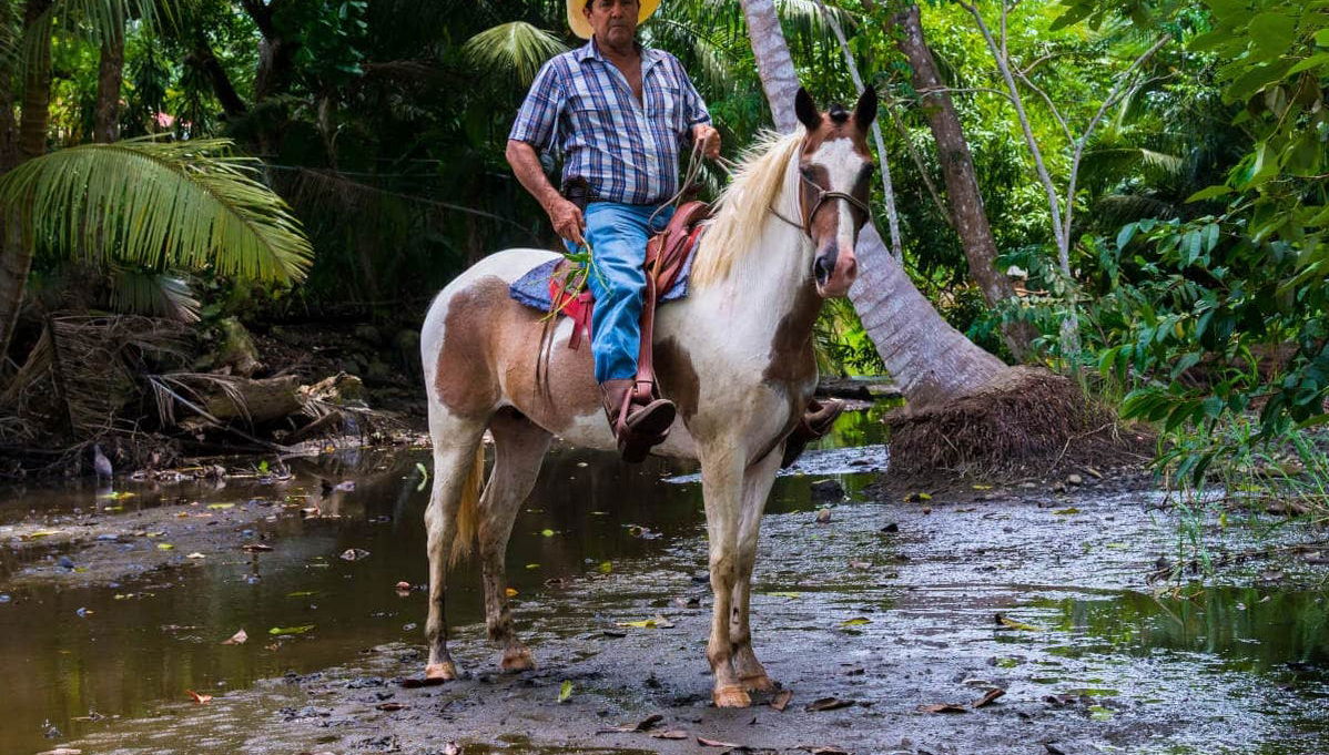 Horse Riding in Drake Bay - Foto 1