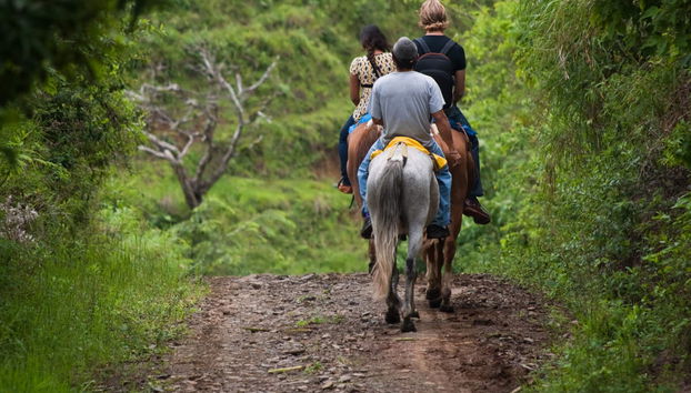 Horse Riding in Drake Bay - Foto 3