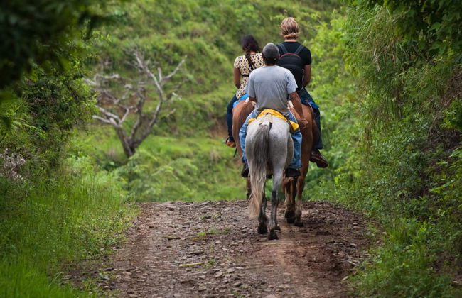 Horse Riding in Drake Bay - Foto 3