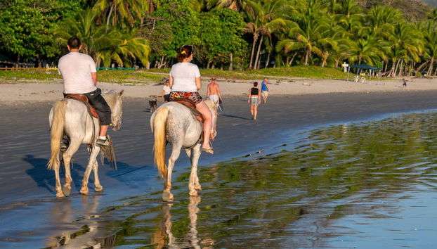 Horse Riding in Drake Bay - Foto 2