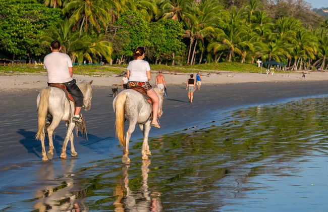 Horse Riding in Drake Bay - Foto 2