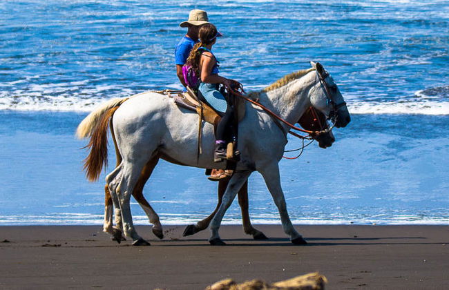 Paseo a caballo por Bahía Drake - Foto 2