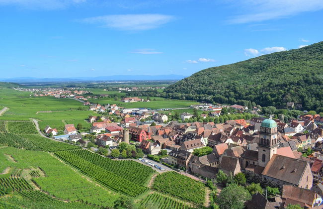 Tour dell'Alsazia + Castello di Haut-Koenigsbourg - Foto 2