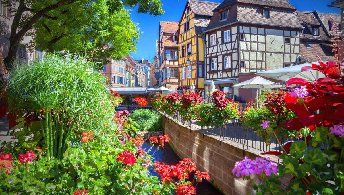 Tour por Alsacia + Castillo Haut-Koenigsbourg - Foto 1