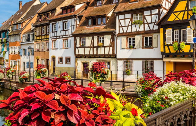 Tour dell'Alsazia + Castello di Haut-Koenigsbourg - Foto 3