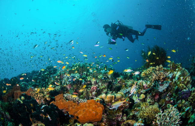 Cours de plongée PADI Open Water - Photo 6