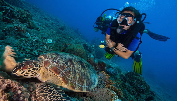 Cours de plongée PADI Open Water - Photo 2