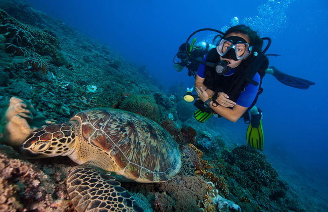 Cours de plongée PADI Open Water - Photo 2