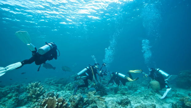 Cours de plongée PADI Open Water - Photo 3