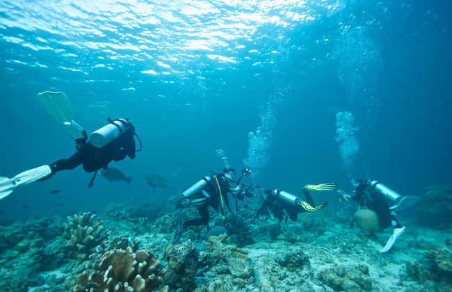 Cours de plongée PADI Open Water - Photo 3