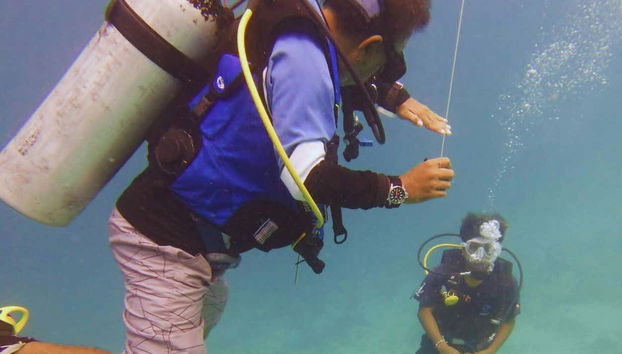 PADI Open Water Course - Photo 3