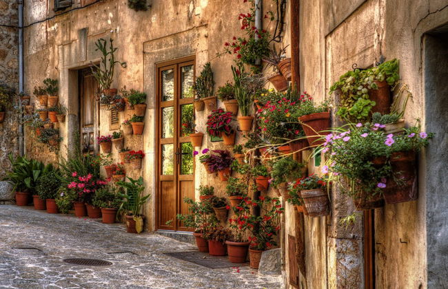 Excursión a Palma y Valldemossa - Foto 1