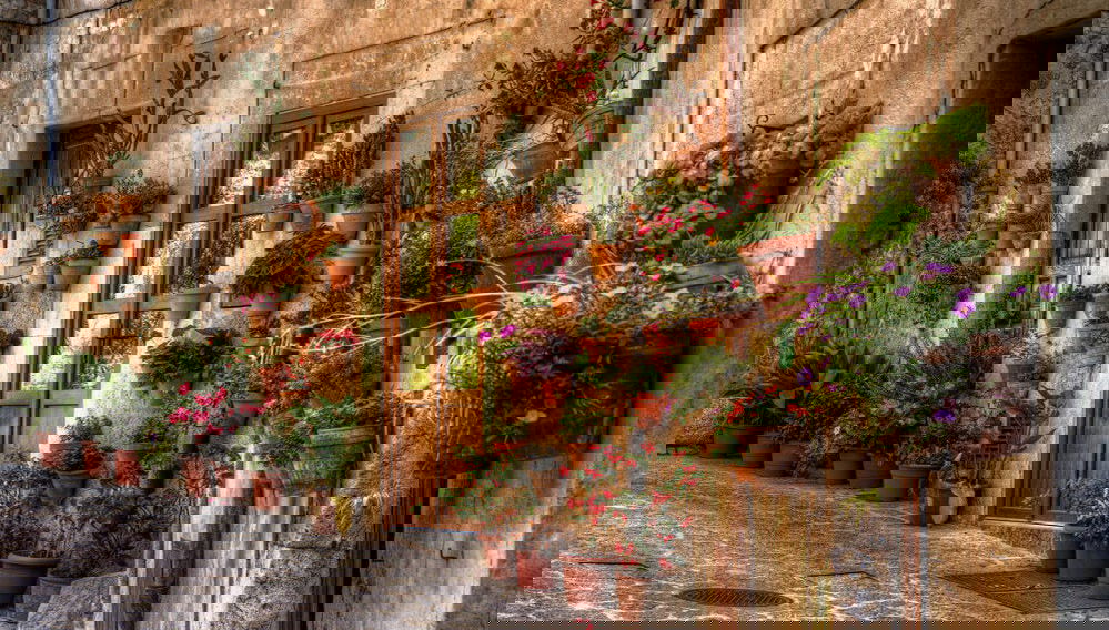 Excursión a Palma y Valldemossa - Foto 1