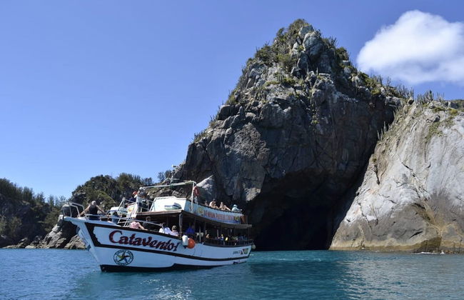 Excursion à Arraial do Cabo + balade en bateau - Photo 2